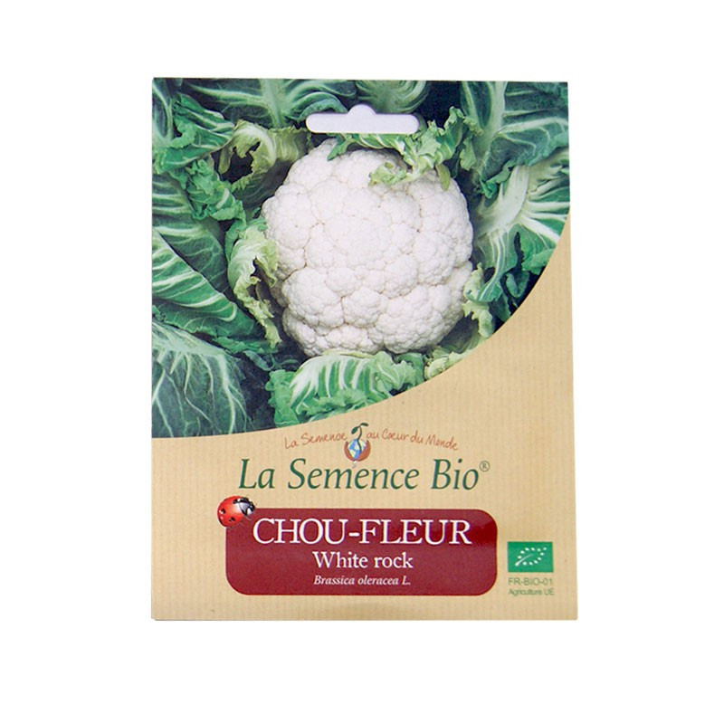 Sementes orgânicas - White Rock Cauliflower (30 sementes)