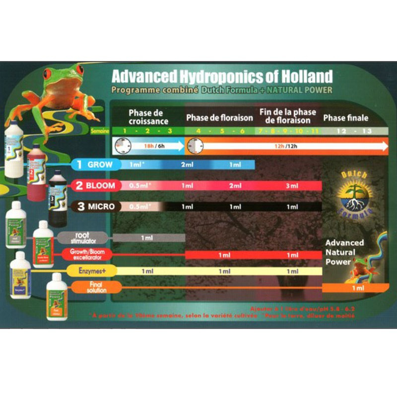 ESQUEMA DE CULTIVO DA FÓRMULA HOLANDESA