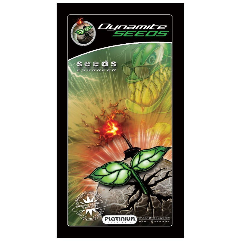 Platinium dynamite Seeds 1gr